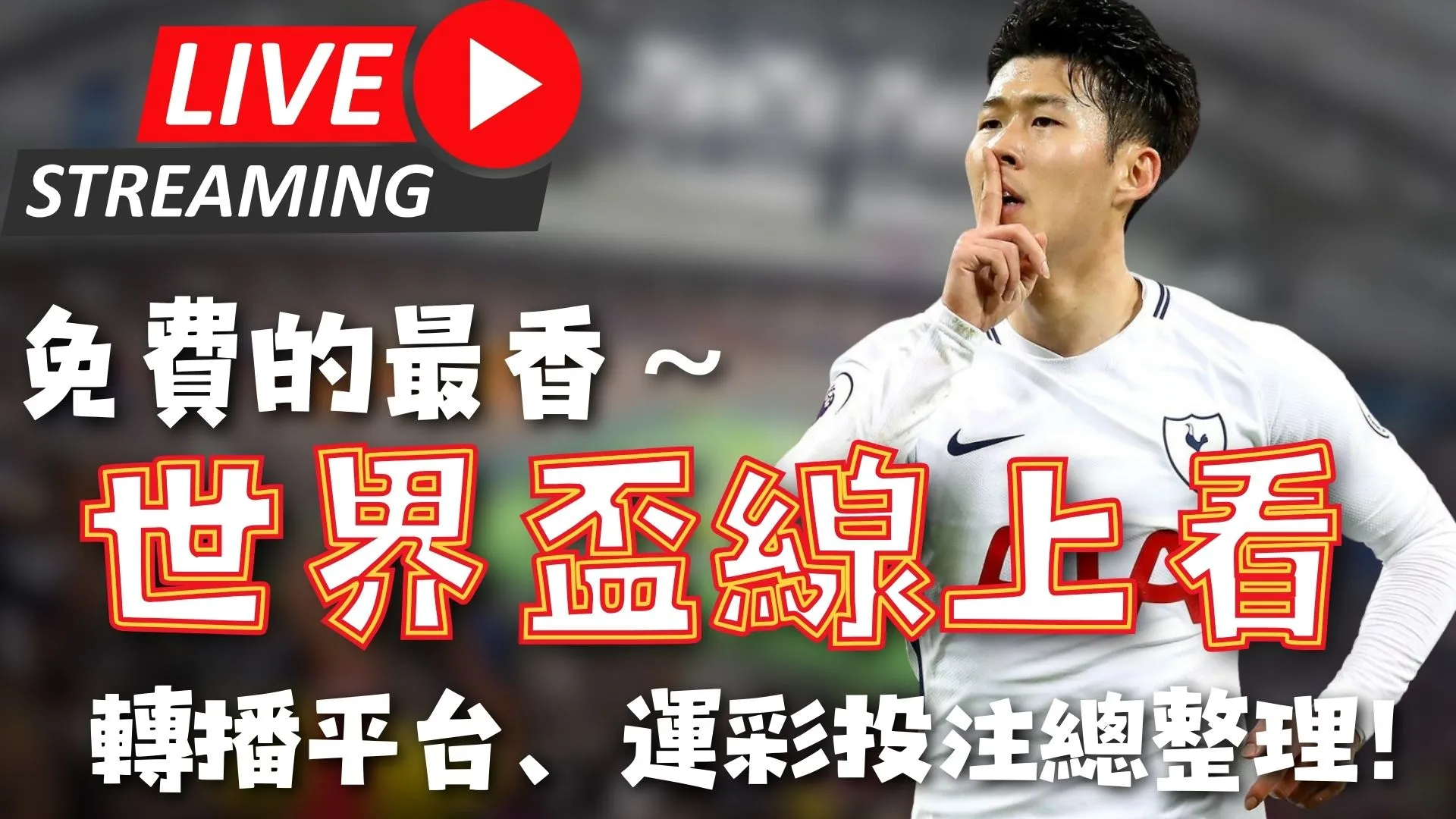 葡萄牙总分,战平,费传中,澳客,澳客官方网,aoke,okooo