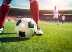 葡萄牙总分,战平,费传中,澳客,澳客官方网,aoke,okooo